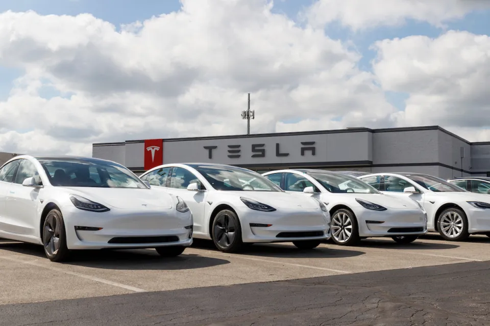 Row of white Tesla electric cars in parking lot with dealership building with Tesla logo in background.